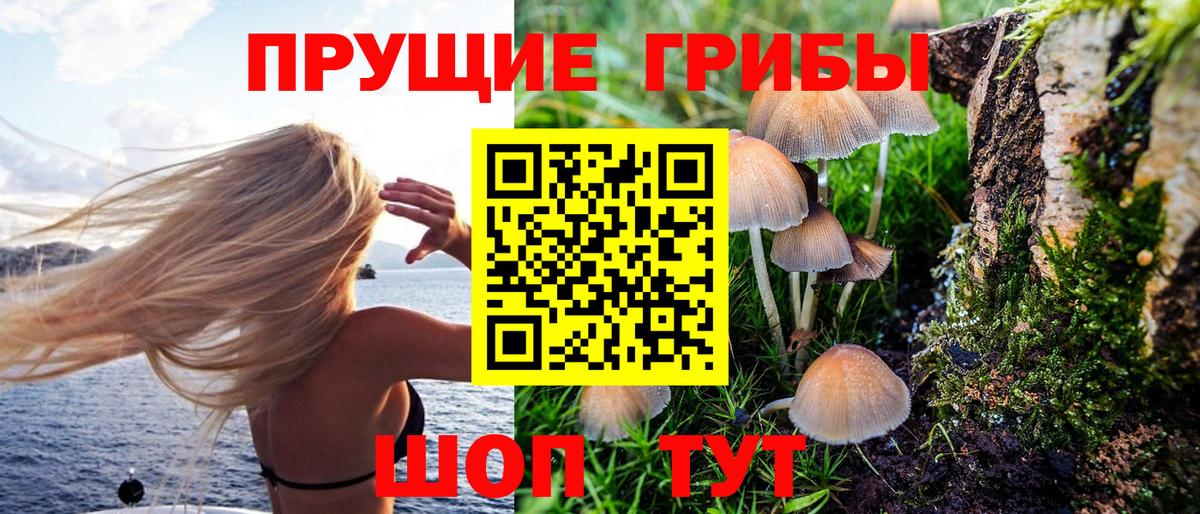 Псилоцибиновые грибы Cubensis  Вход с VPN  Галлюциногенные грибы мухоморы  Новочебоксарск 