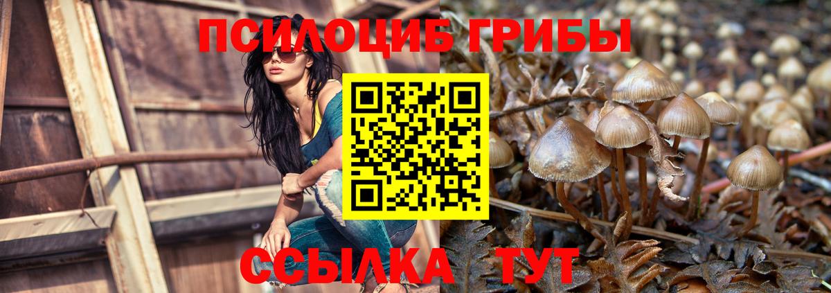 Галлюциногенные грибы мухоморы Новочебоксарск